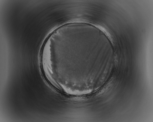 X0000094790998200712141634