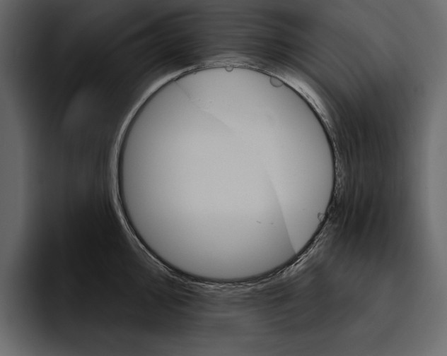 X0000094791000200712141634