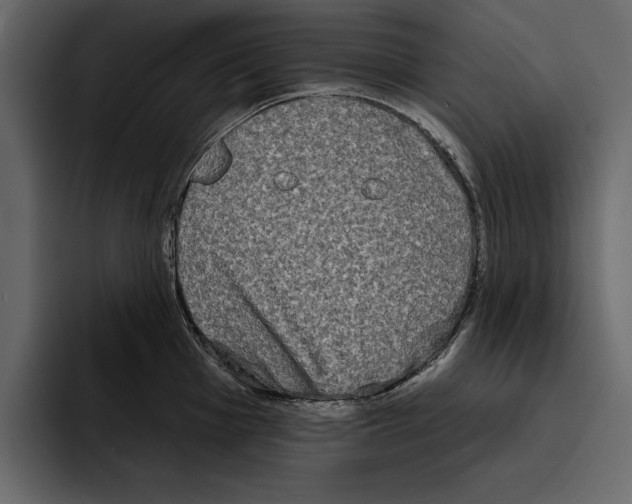 X0000094791001200712141634