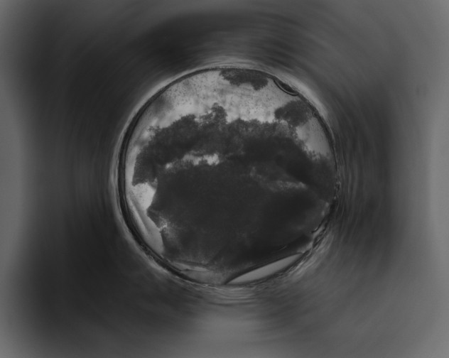 X0000094791007200712141634