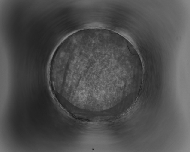 X0000094791008200712141634