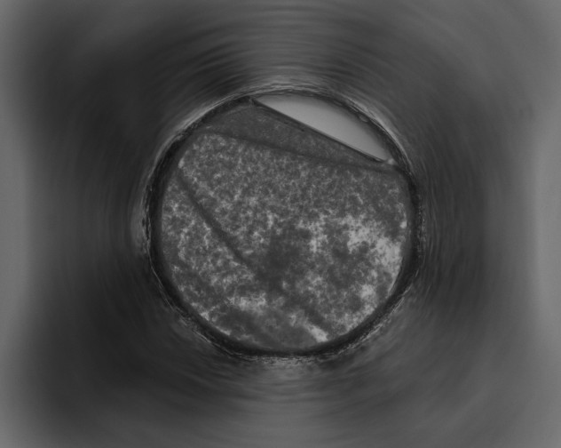 X0000094791018200712141633