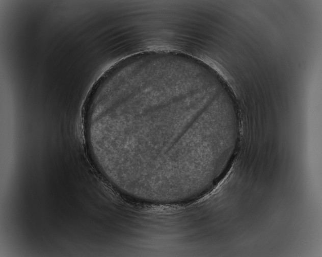 X0000094791022200712141633