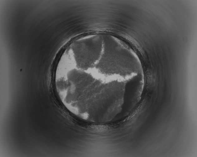 X0000094791023200712141633