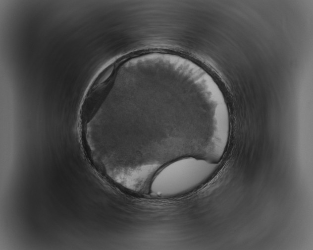 X0000094791024200712141633