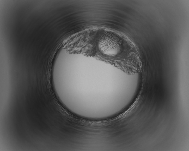 X0000094791025200712141633