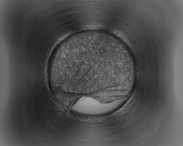 X0000094791026200712141633