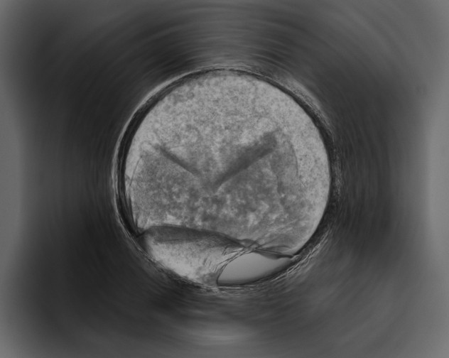 X0000094791028200712141633