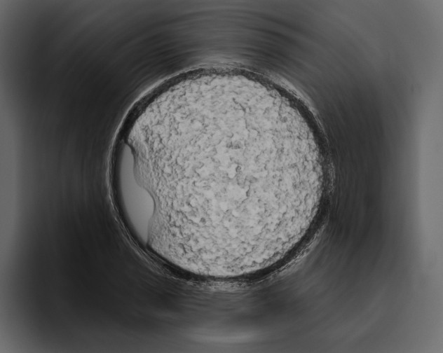 X0000094791029200712141633