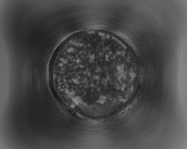 X0000094791031200712141633