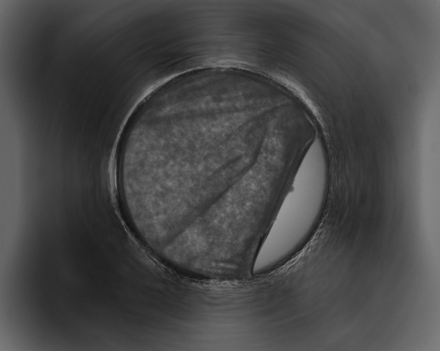 X0000094791032200712141633