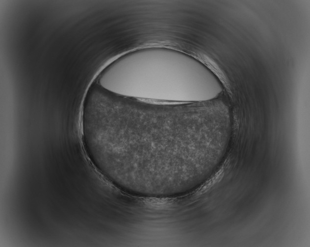 X0000094791036200712141634