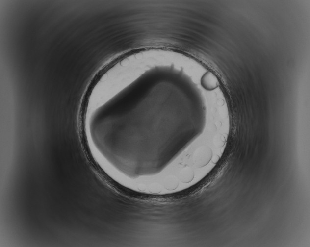 X0000094791037200712141634