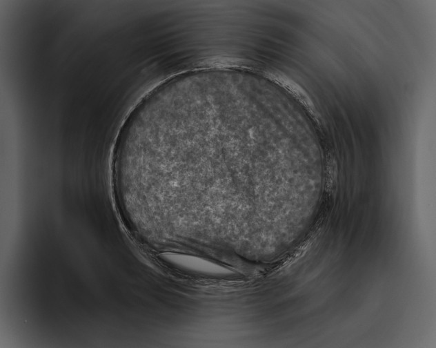 X0000094791039200712141634