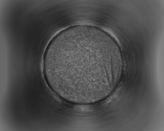 X0000094791040200712141634