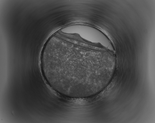 X0000094791042200712141634