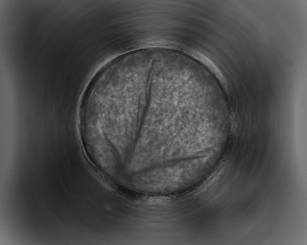 X0000094791043200712141634