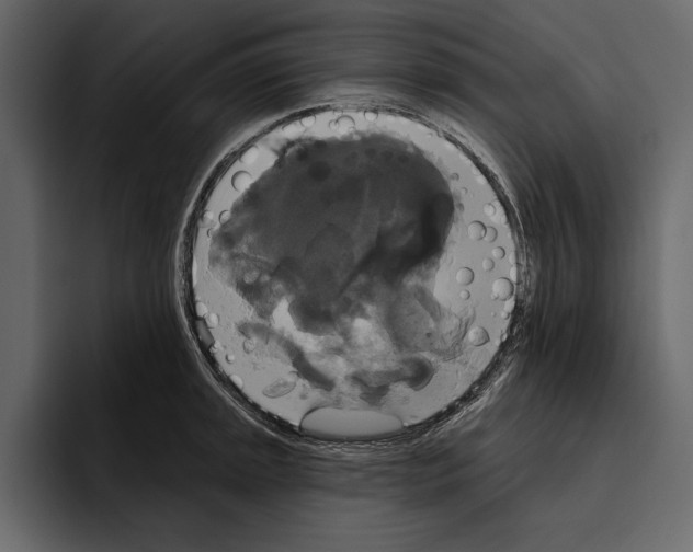 X0000094791045200712141634