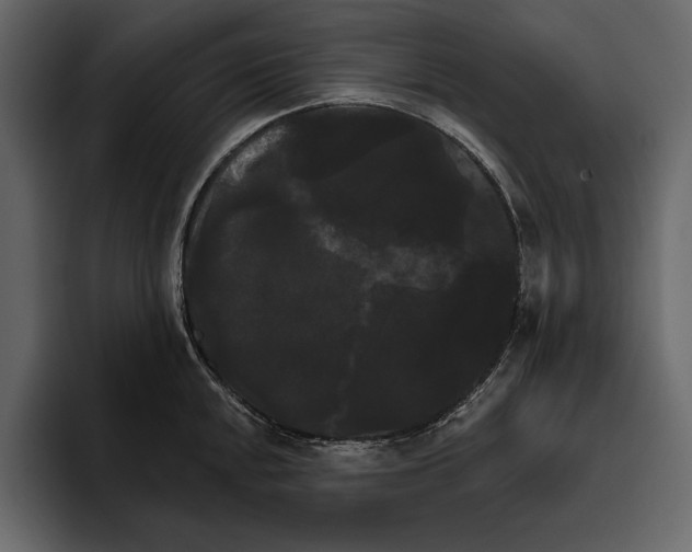 X0000094791048200712141634