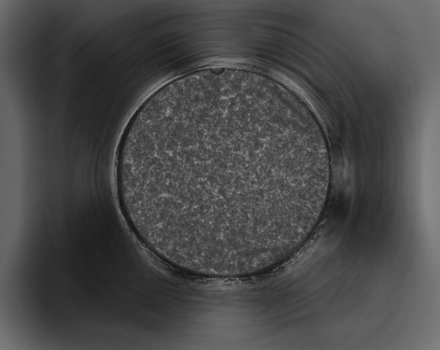 X0000094791050200712141634