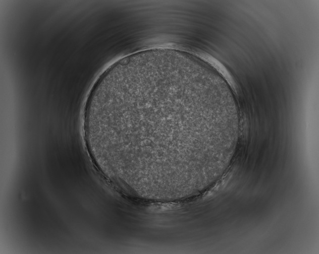 X0000094791051200712141634