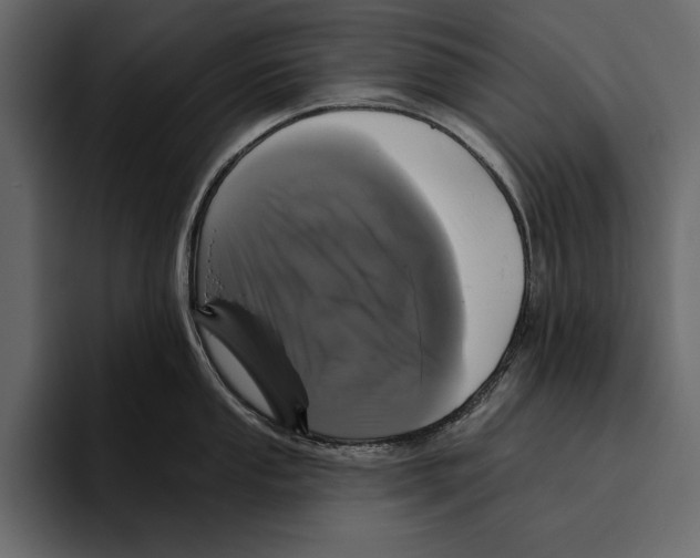 X0000094791053200712141634