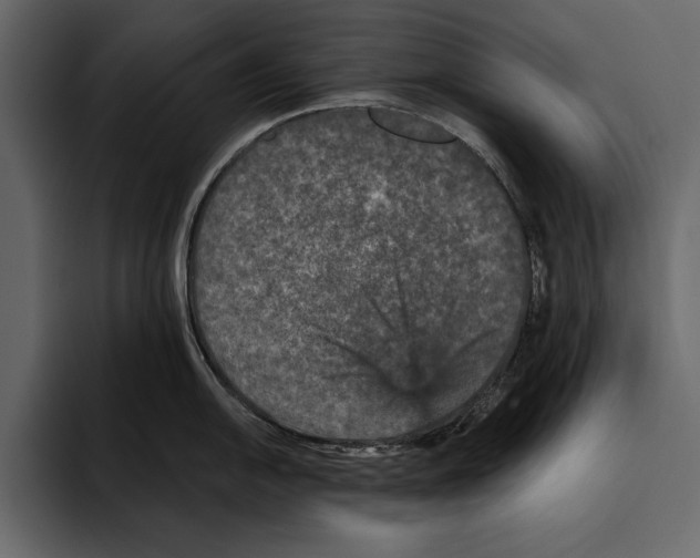 X0000094791054200712141634