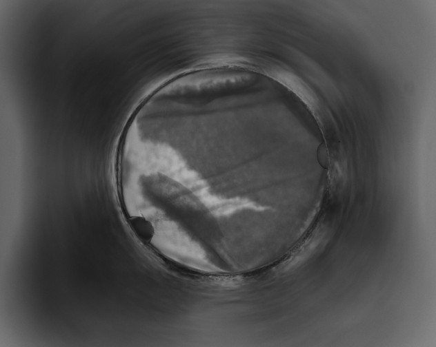 X0000094791055200712141634