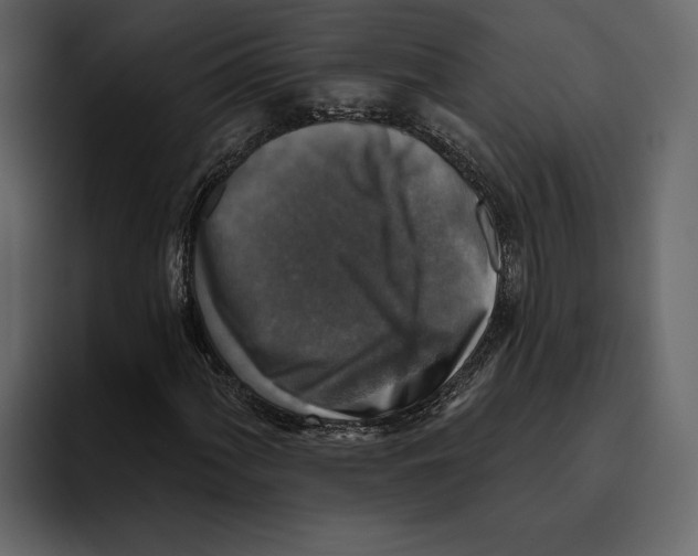 X0000094791060200712141633