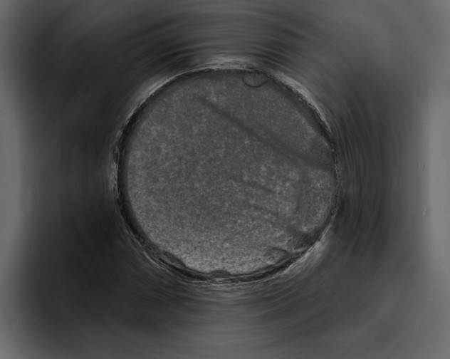 X0000094791066200712141633