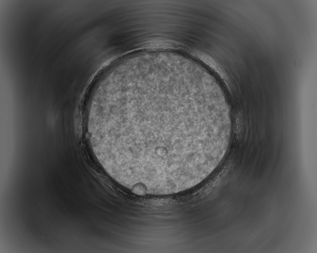 X0000094791067200712141633