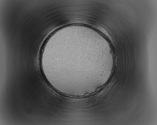 X0000094791068200712141633