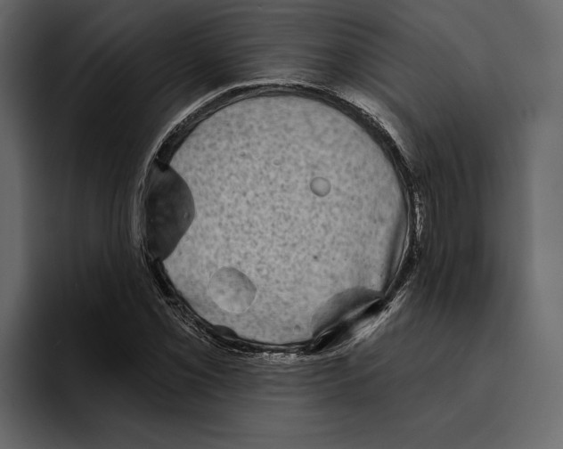 X0000094791069200712141633