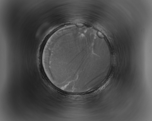 X0000094791071200712141633