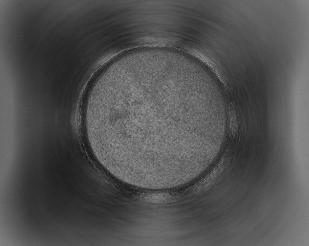 X0000094791074200712141633