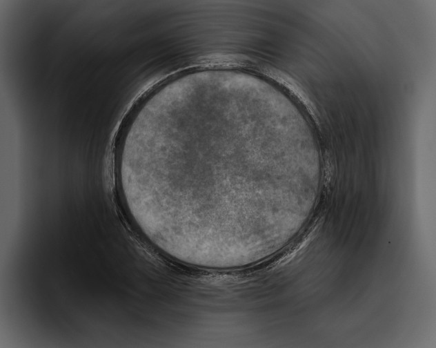 X0000094791075200712141633