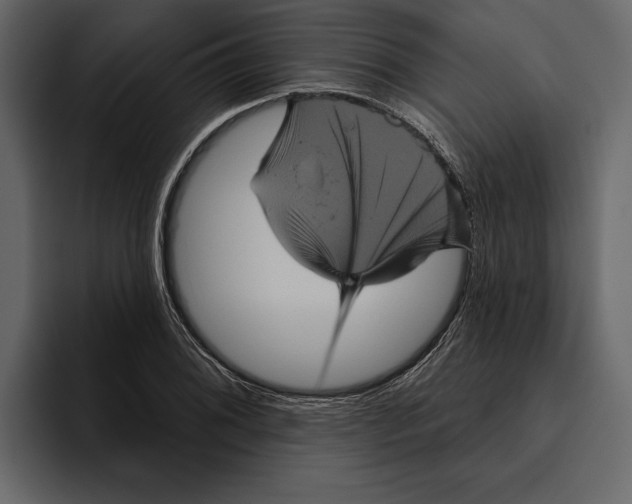 X0000094791076200712141633