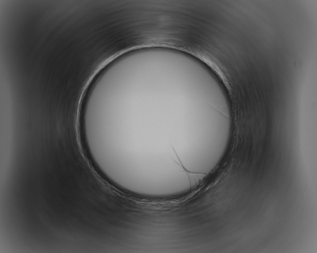 X0000094791077200712141633