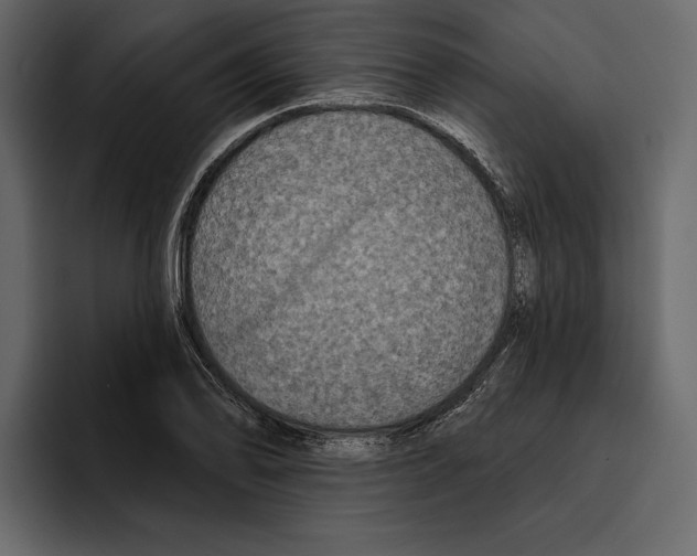 X0000094791078200712141633