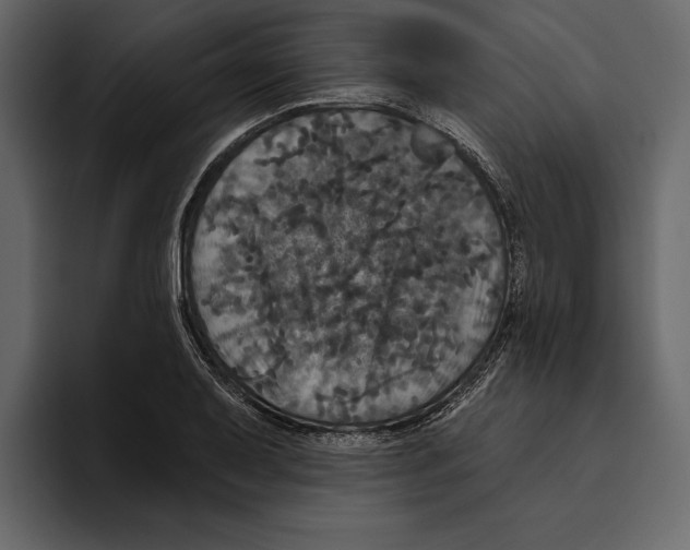 X0000094791079200712141633