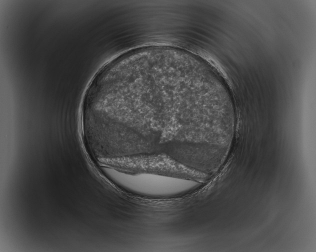 X0000094791080200712141633