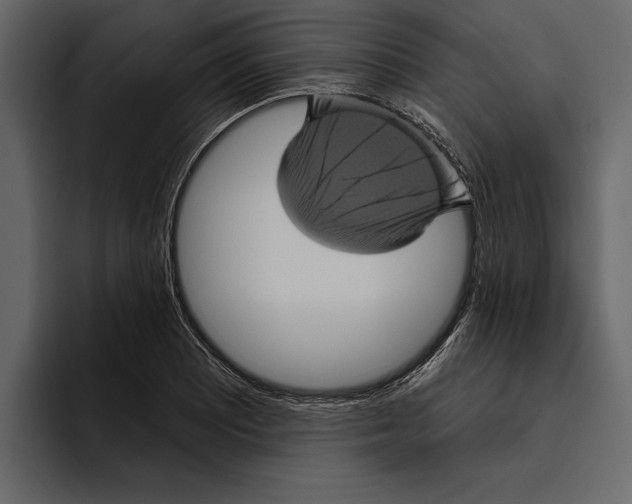 X0000094791081200712141633