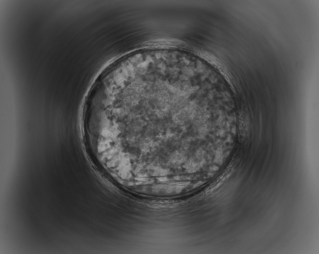 X0000094791083200712141633