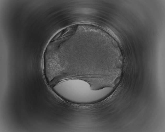 X0000094791084200712141633