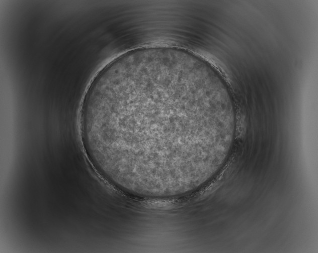 X0000094791086200712141633