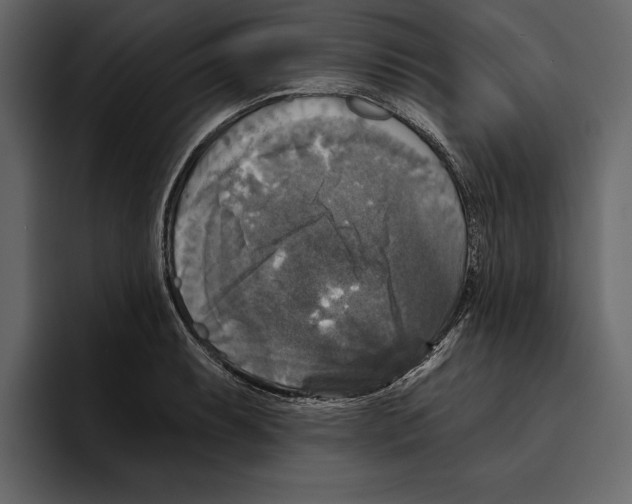 X0000094791087200712141633