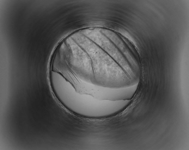 X0000094791088200712141633