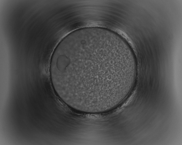 X0000094791089200712141633