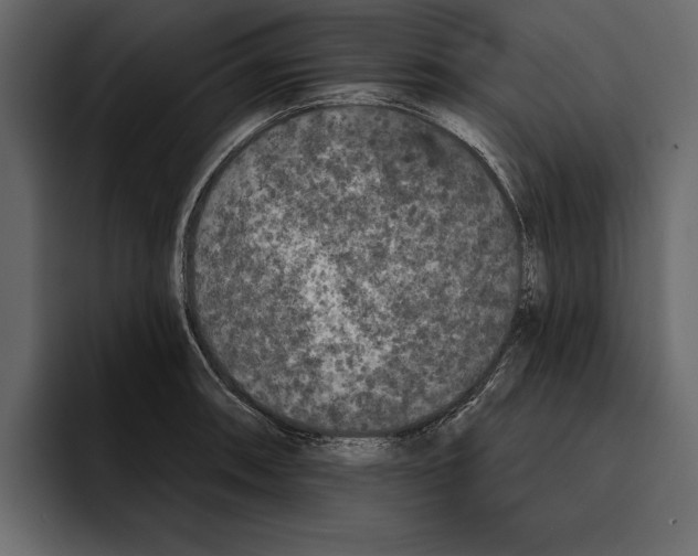 X0000094791090200712141633