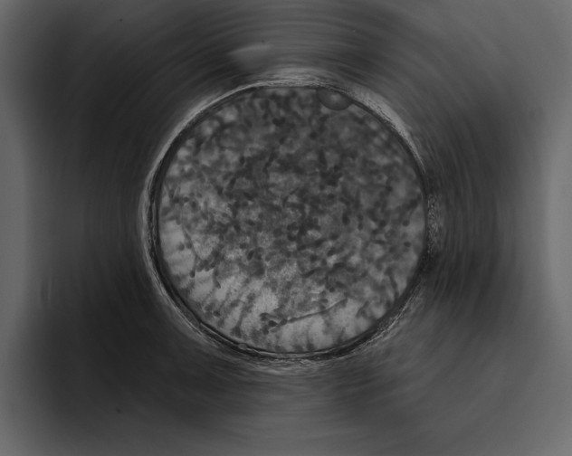 X0000094791091200712141633